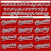 Custom Red Steel Gray-White Performance Vapor Golf Polo Shirt - Image 4